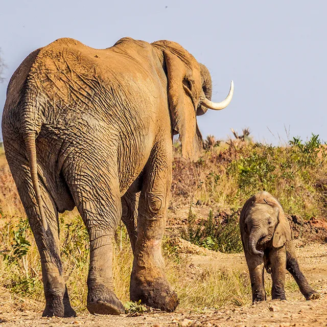 Kidepo Valley National park