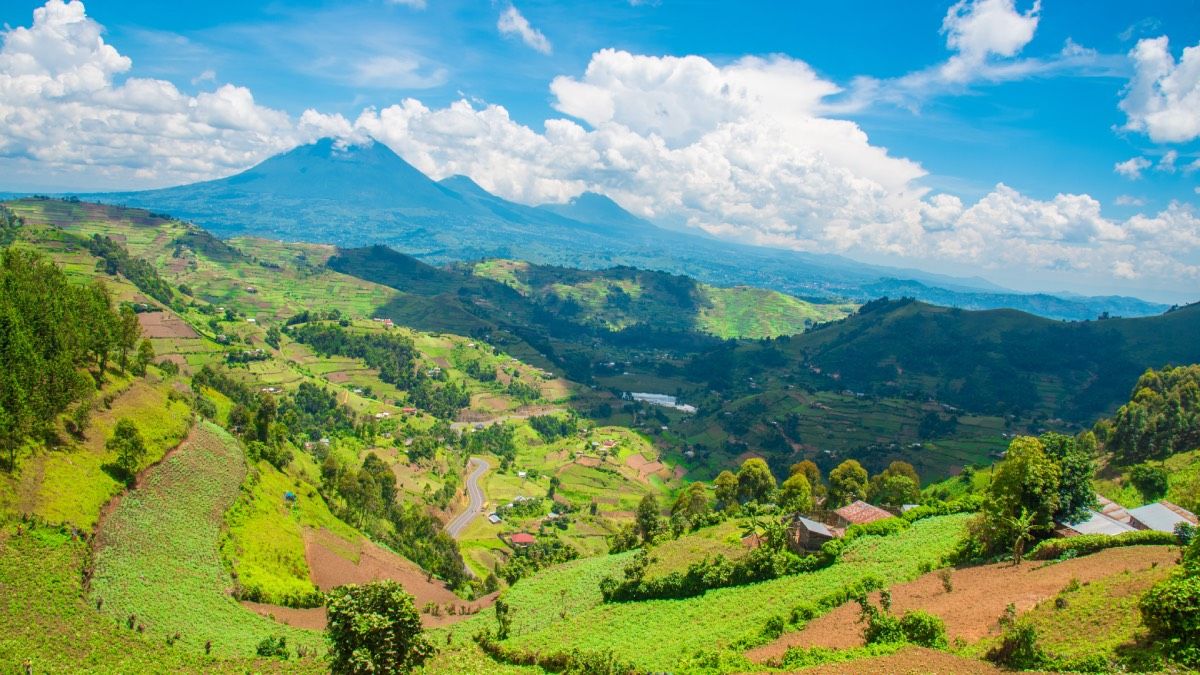 Mgahinga Gorilla National Park