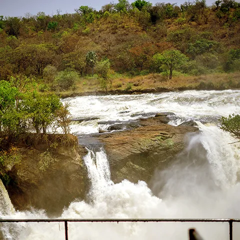 Murchison Falls National Park