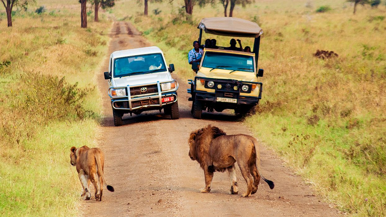 Queen Elizabeth National Park